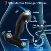 Vibrating Prostate Massager with Dual Cock Rings, Heated Anal Vibrator for Men with Remote, Male Vibrating Butt Plug - black
